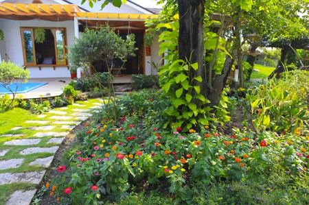 Ghen tị với nhà vườn bạc tỷ của Ngô Mai Trang 6