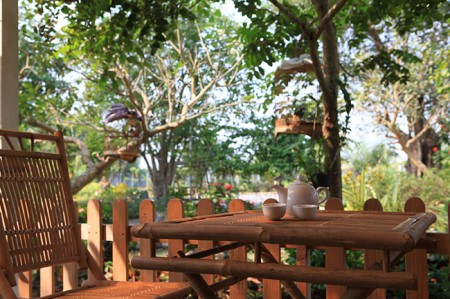 Ghen tị với nhà vườn bạc tỷ của Ngô Mai Trang 7