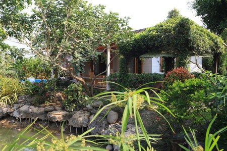 Ghen tị với nhà vườn bạc tỷ của Ngô Mai Trang 11