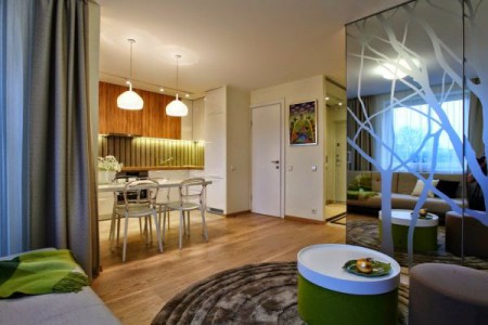 Khám phá cách mở rộng không gian cho căn hộ 34 m2 5