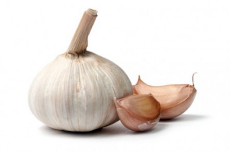 8 loại rau củ lý tưởng trồng trong nhà 7