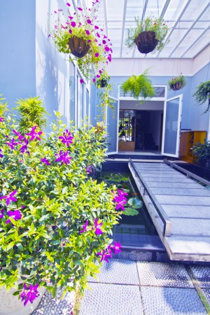 Biệt thự sân vườn 2 tầng với 1,2 tỷ đồng 3